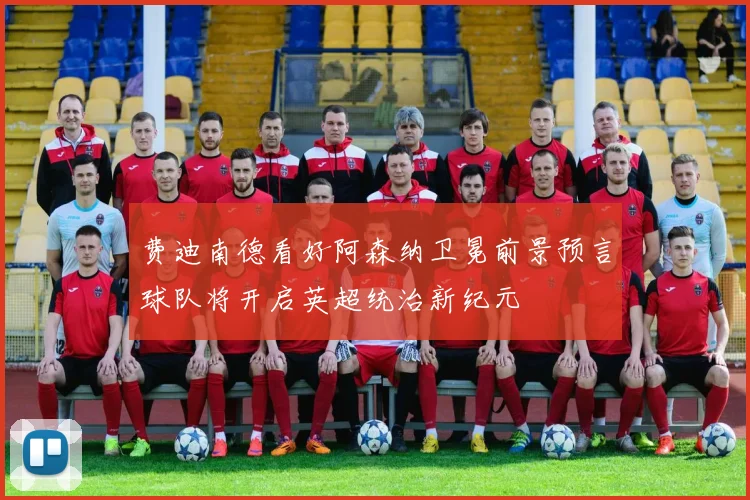 费迪南德看好阿森纳卫冕前景预言球队将开启英超统治新纪元